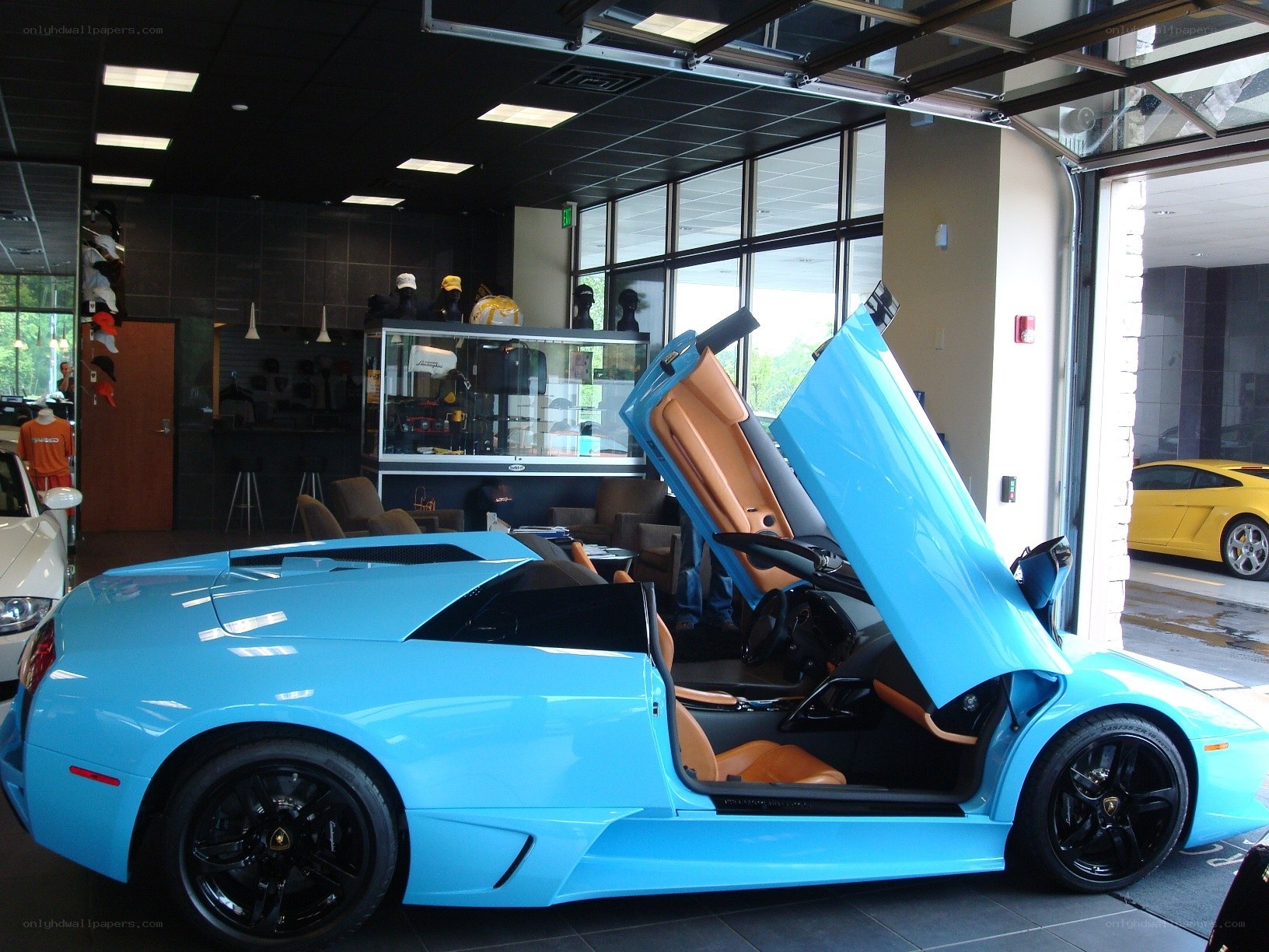 Blue Lamborghini in showroom