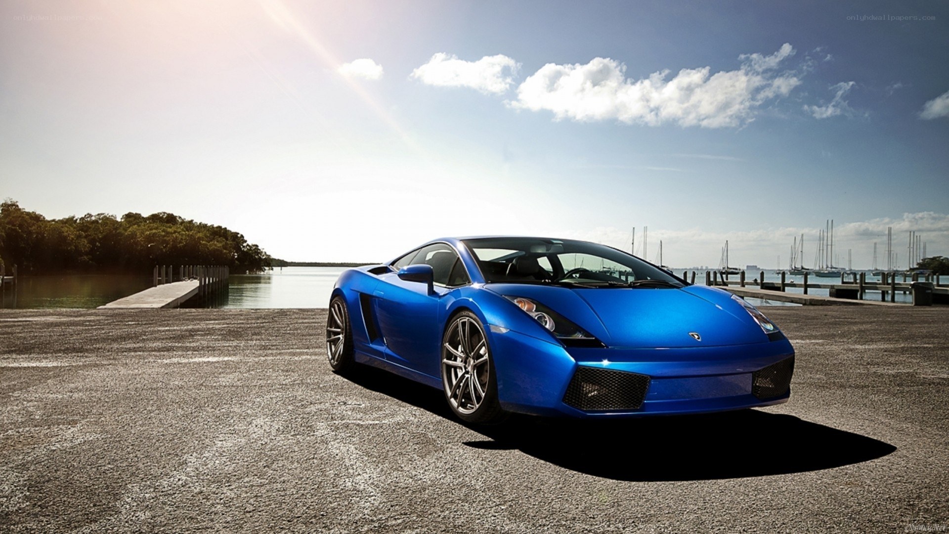 Blue Lamborghini on a dock