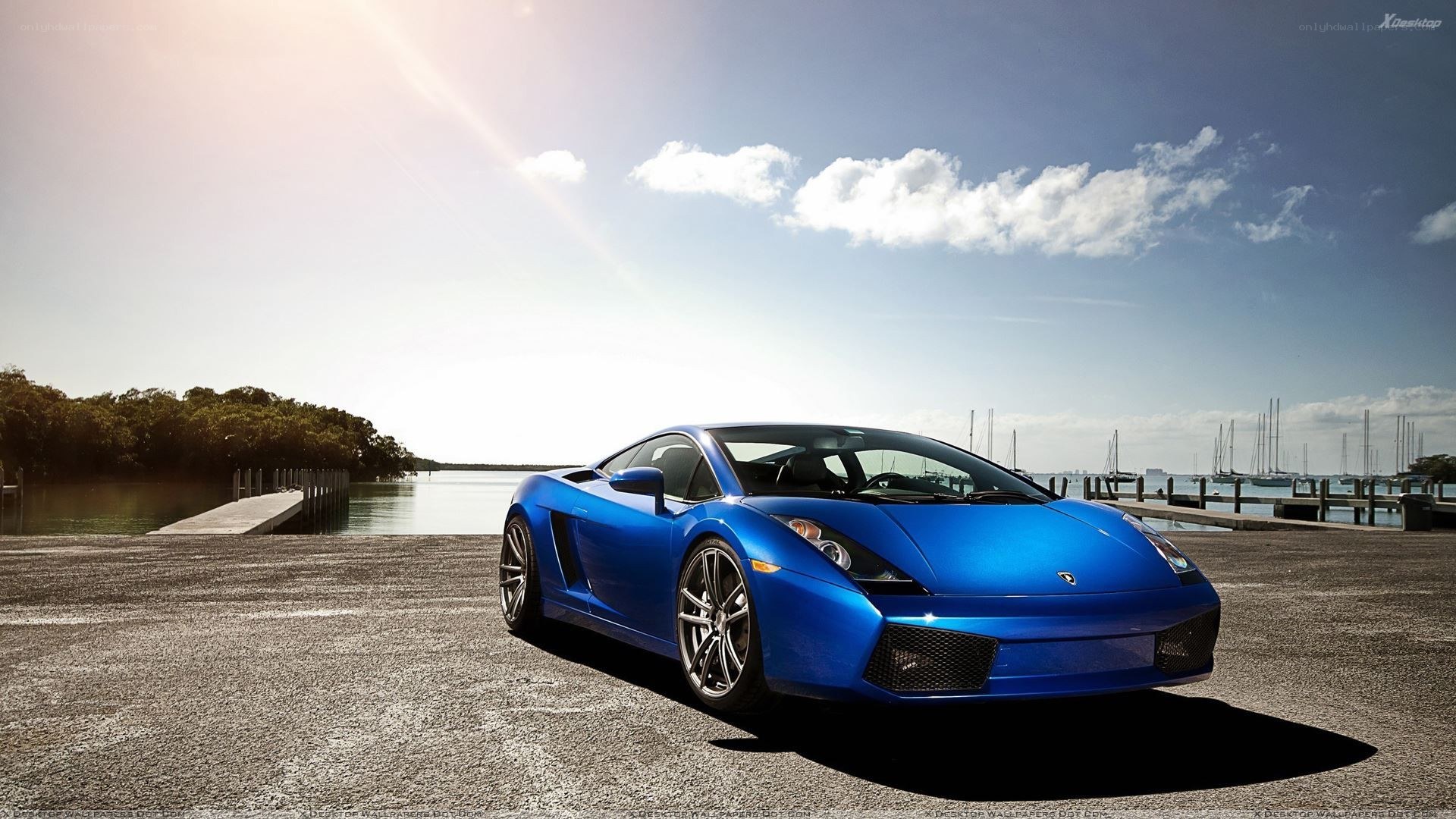 Blue Lamborghini on a dock