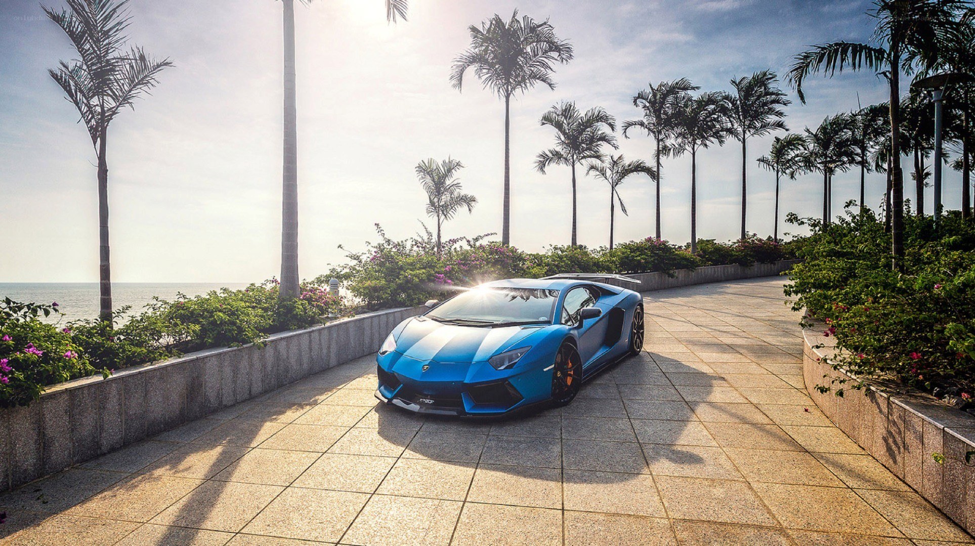 Blue Lamborghini on coastal path