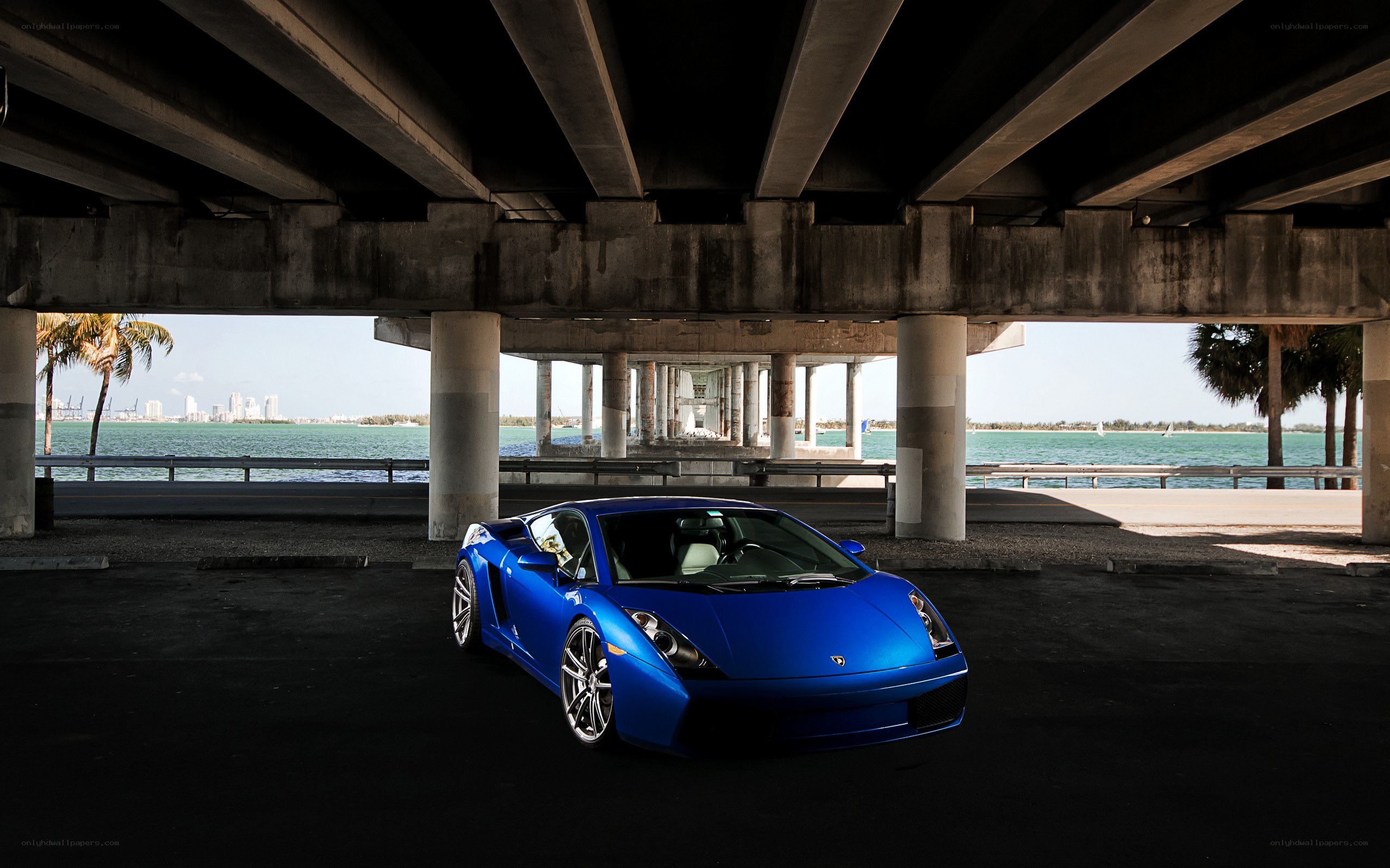 Blue Lamborghini under a bridge