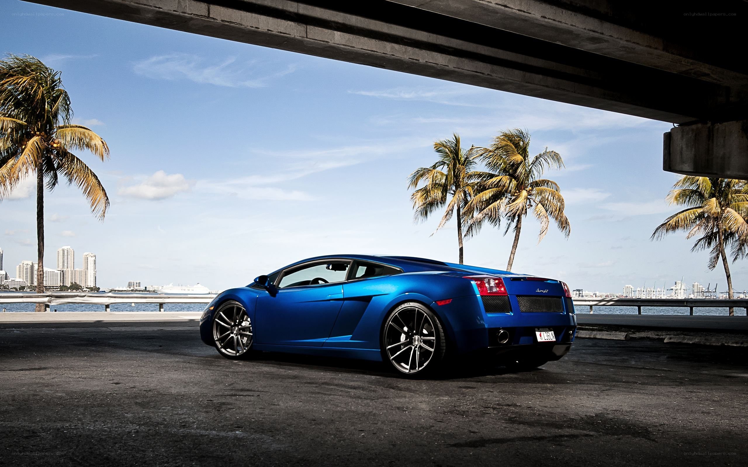 Blue Lamborghini under bridge