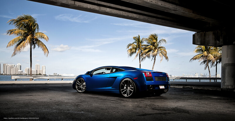 Blue Lamborghini under bridge
