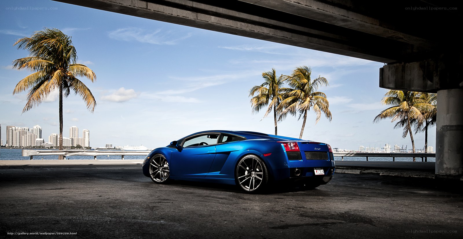 Blue Lamborghini under bridge