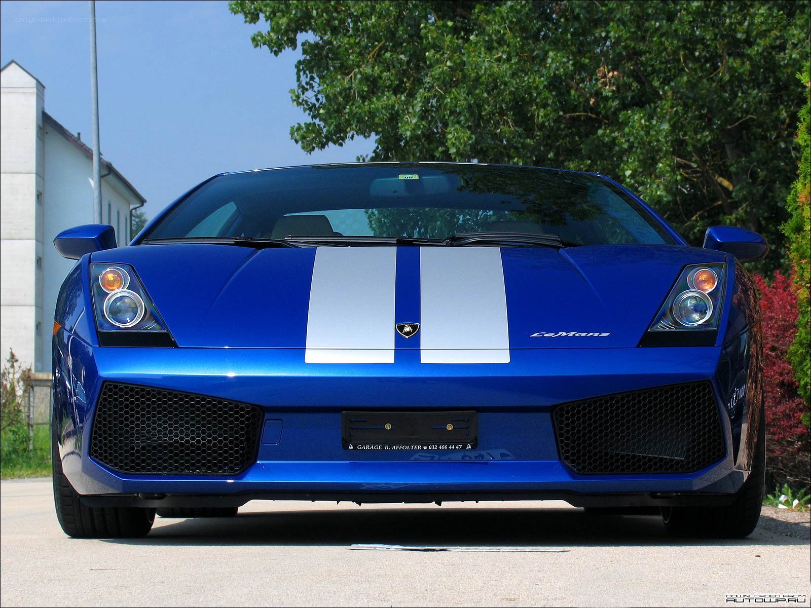 blue lamborghini with racing stripes
