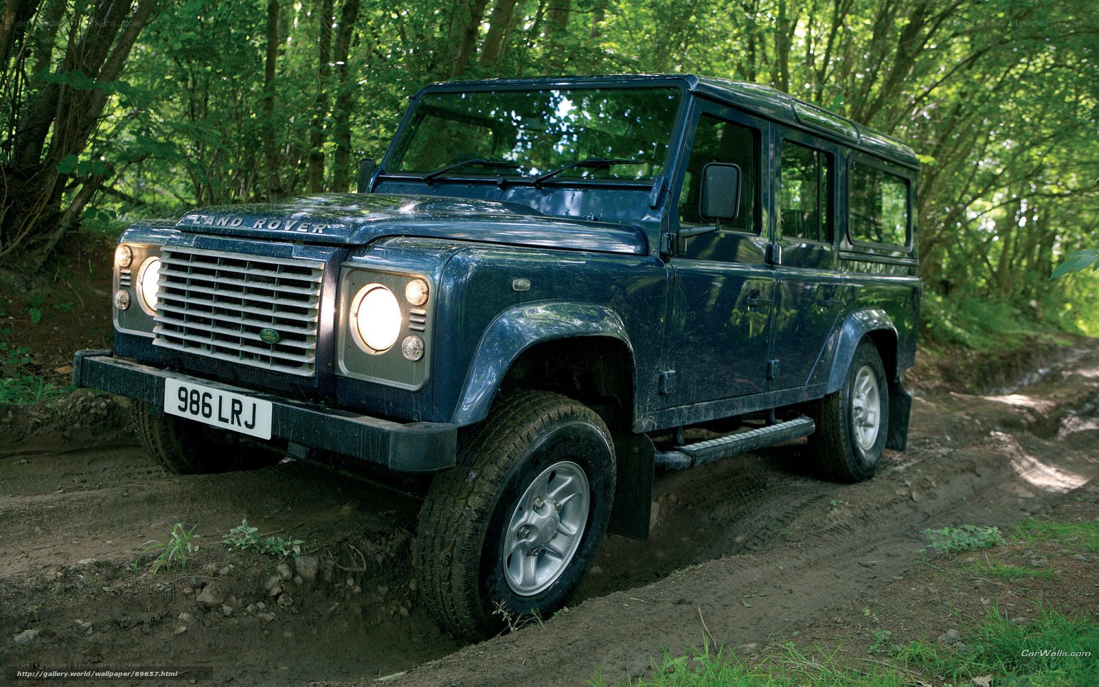 Blue Land Rover in forest