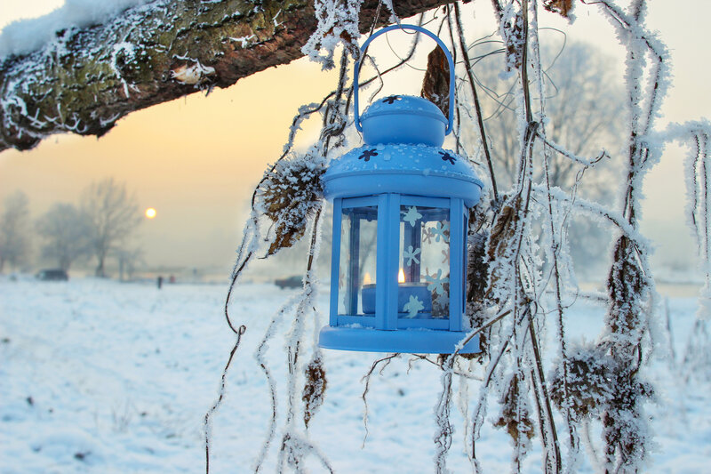 Blue Lantern in Snow — Serene