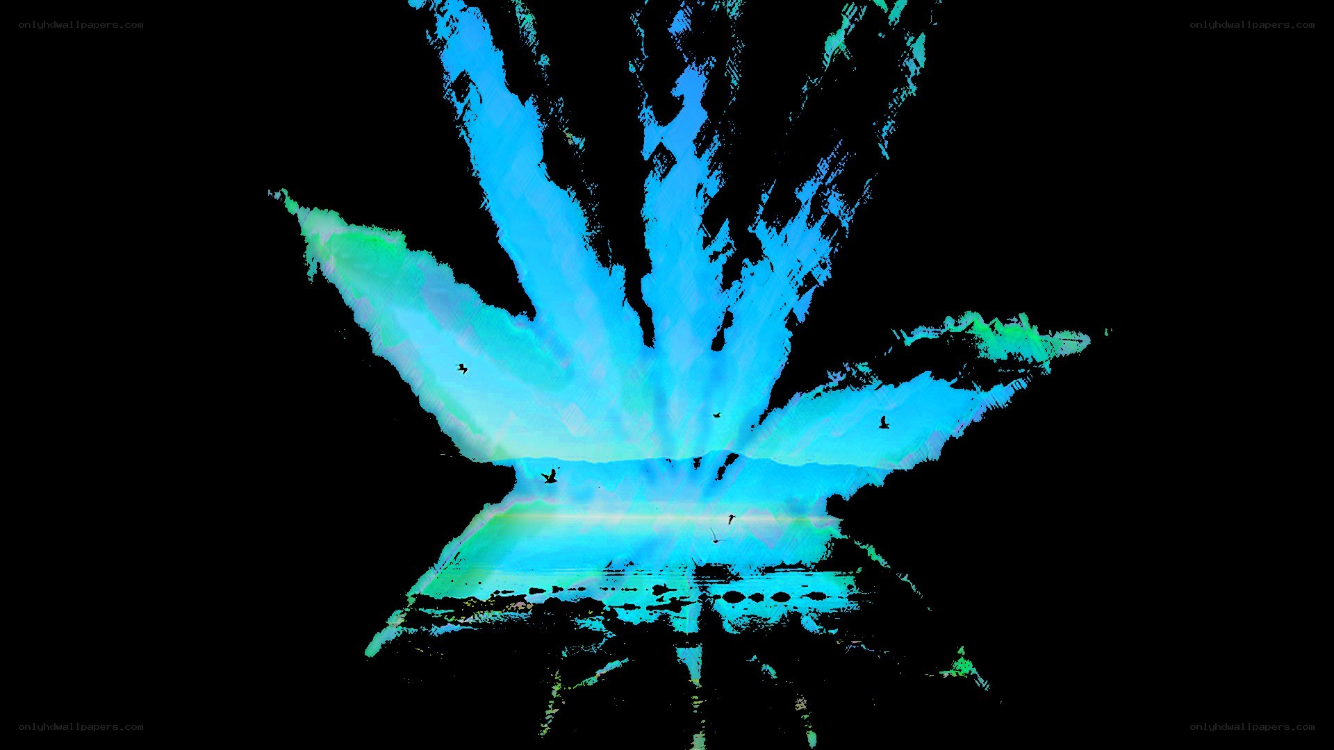 blue leaf with birds
