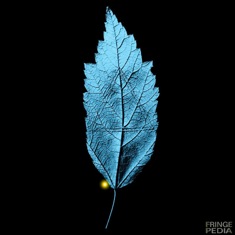blue leaf with glowing dot