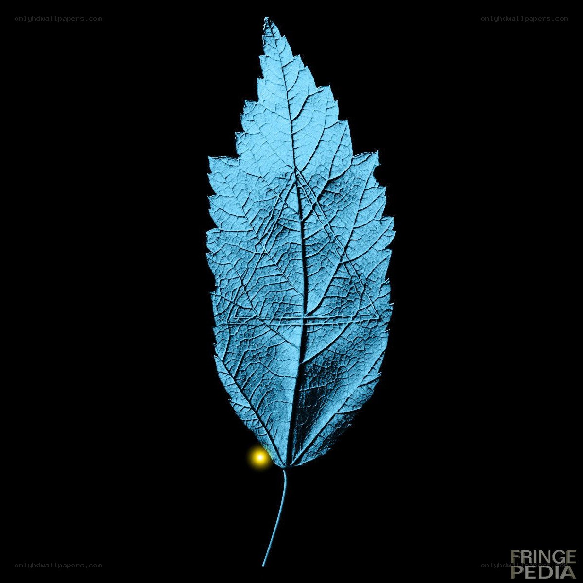 blue leaf with glowing dot
