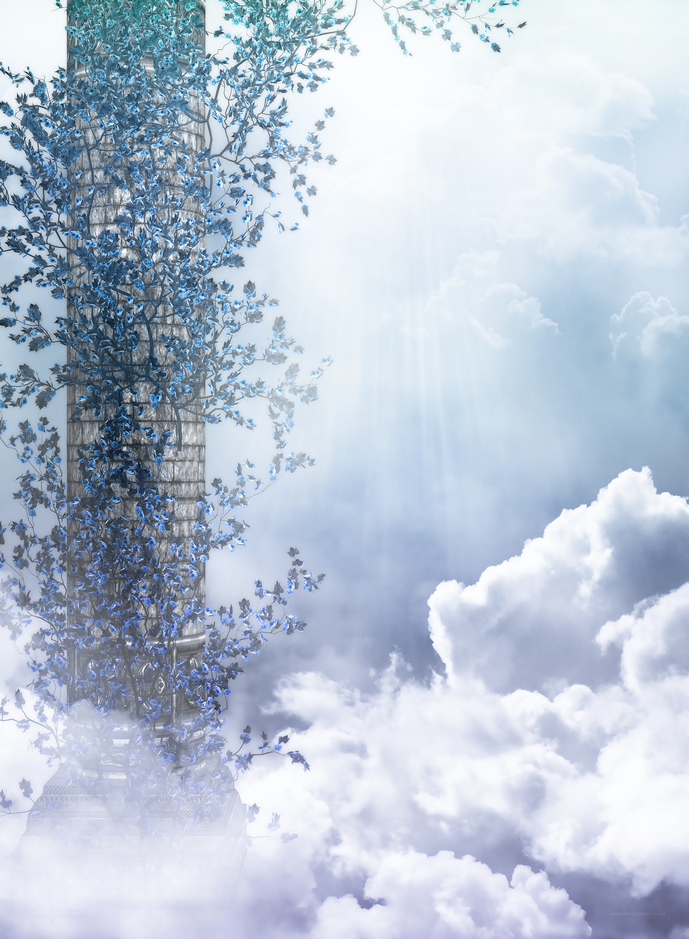 blue-leafed pillar in clouds