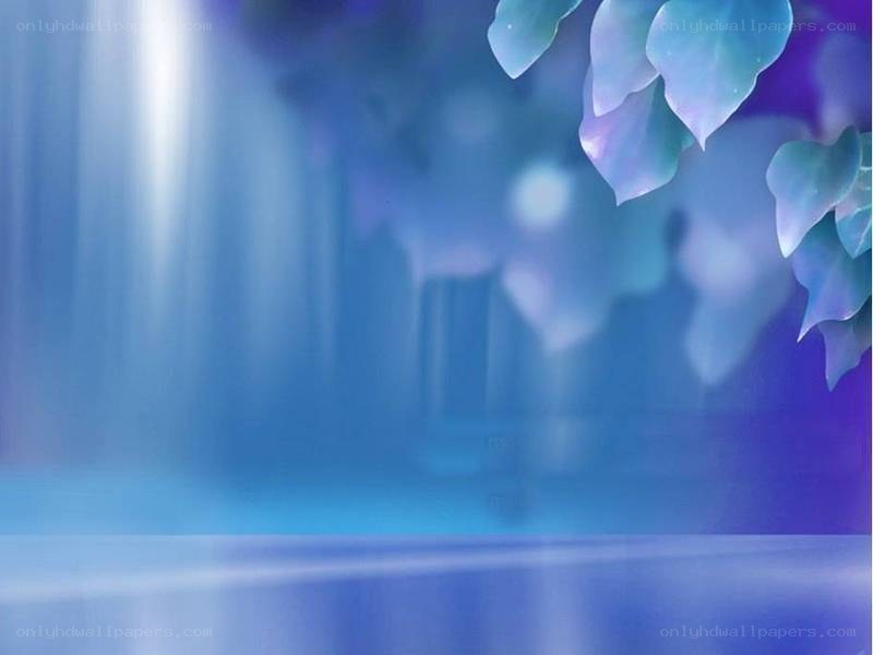 blue leaves in soft light