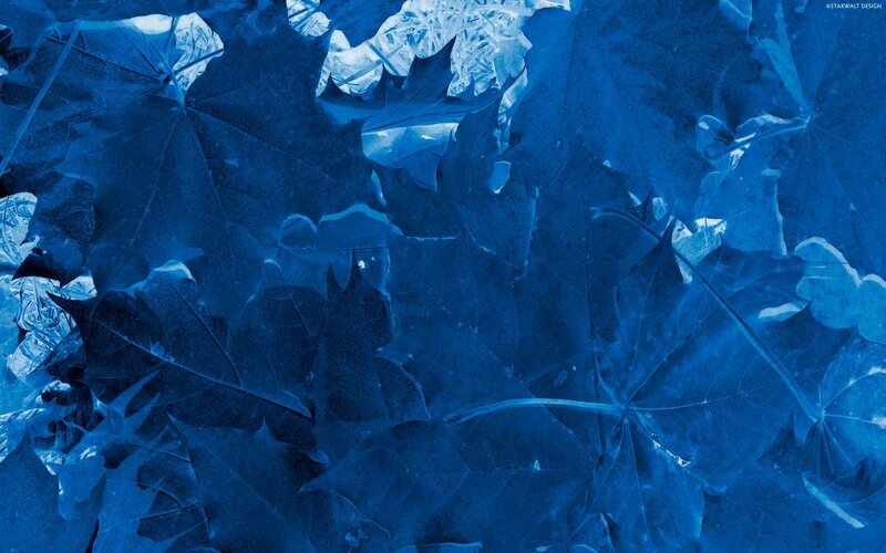 blue leaves under ice
