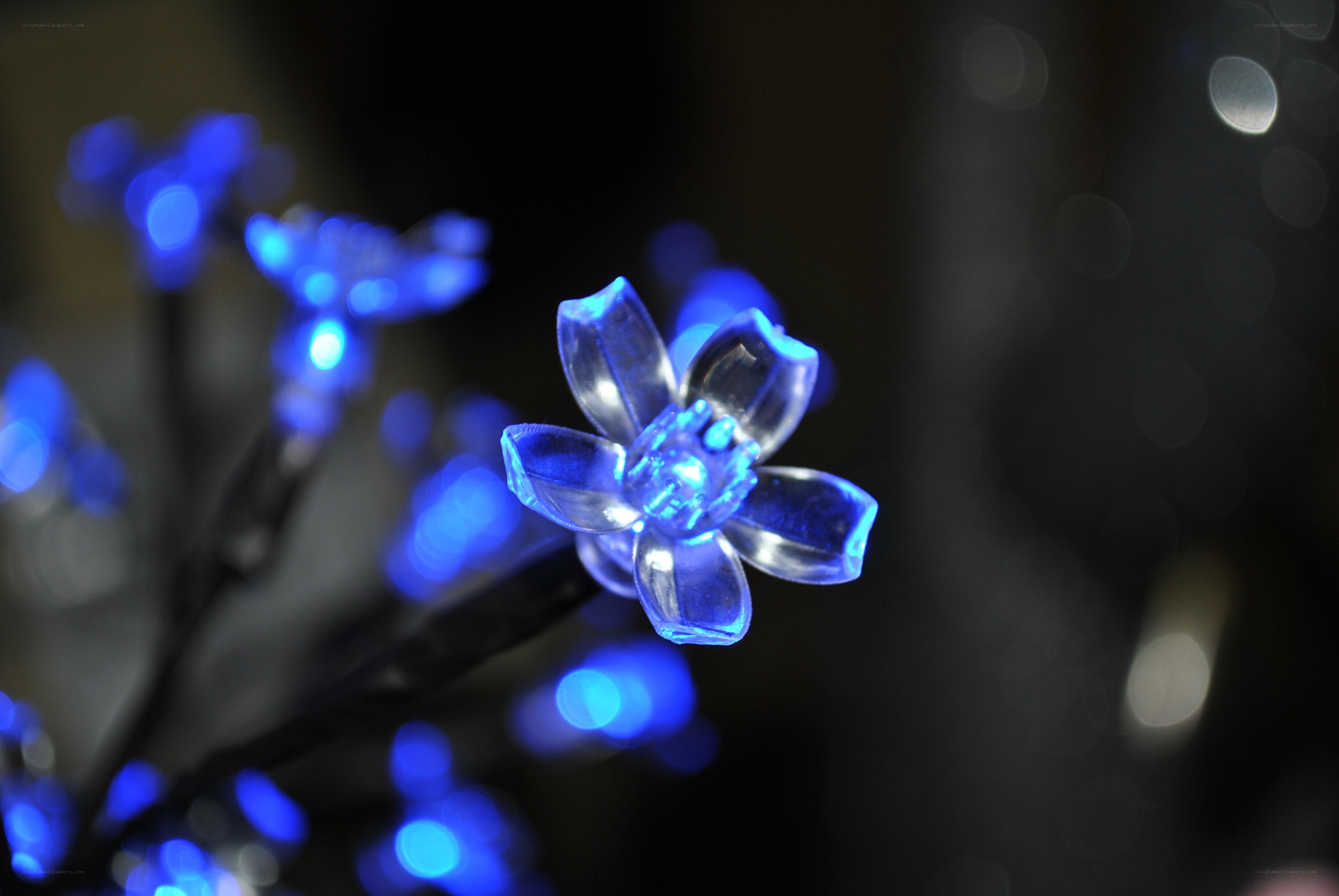 Blue LED flower lights