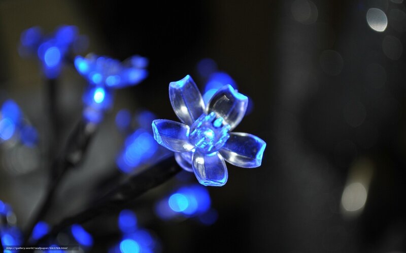 Blue LED flower lights