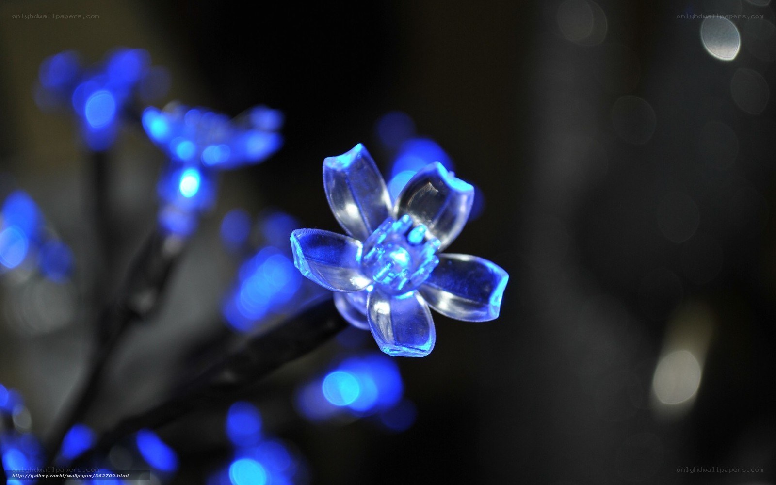 Blue LED flower lights