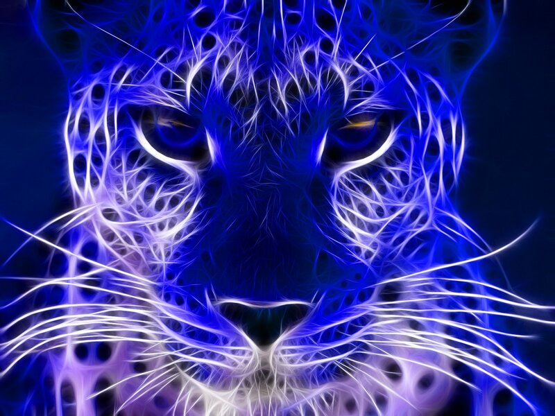 Blue Leopard Face — Dramatic