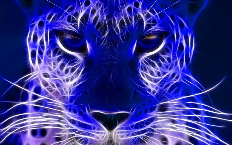 Blue Leopard Face