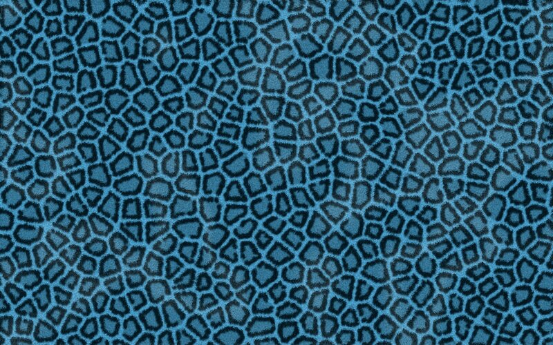 blue leopard print pattern