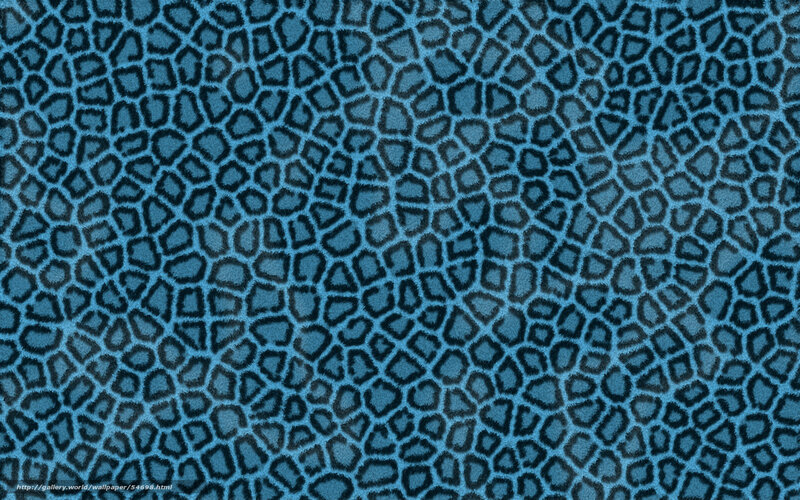 blue leopard print pattern