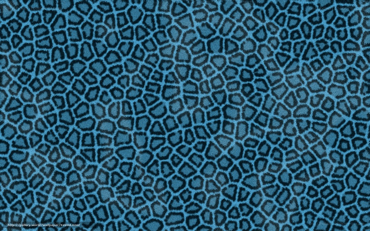 blue leopard print pattern