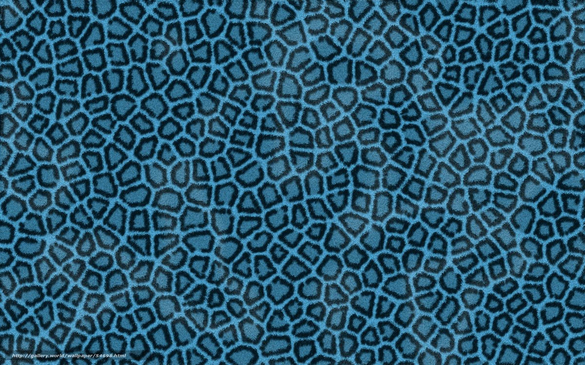 blue leopard print pattern