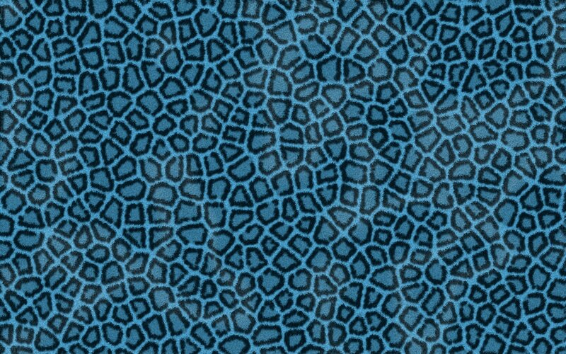 blue leopard print texture
