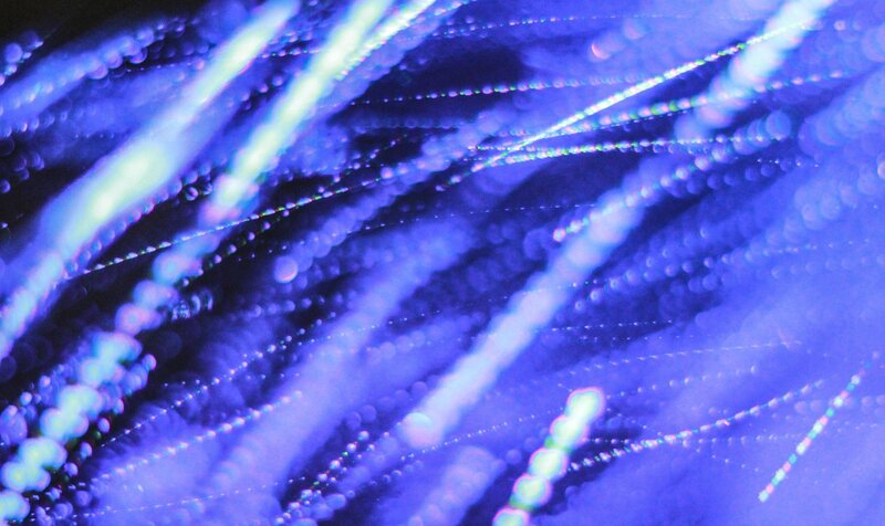 blue light fiber optics