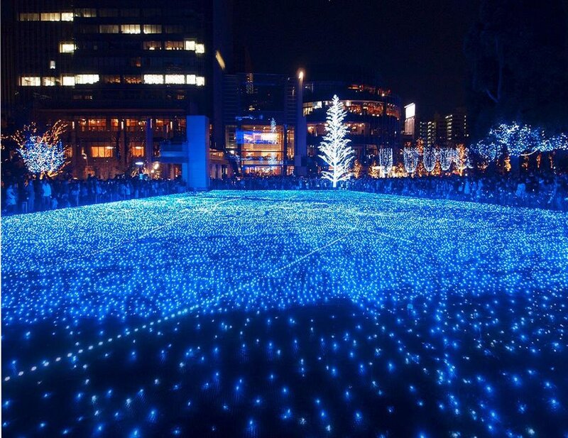 Blue Light Field at Night — Festive
