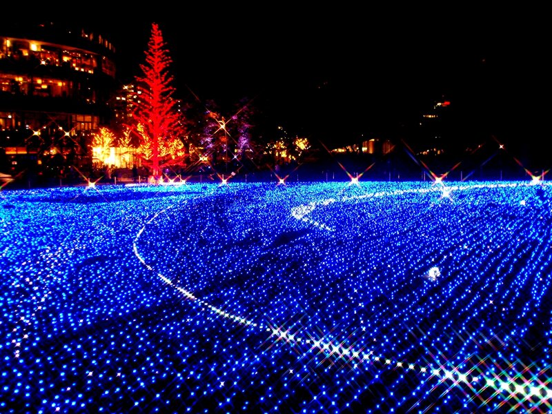Blue Light Field at Night