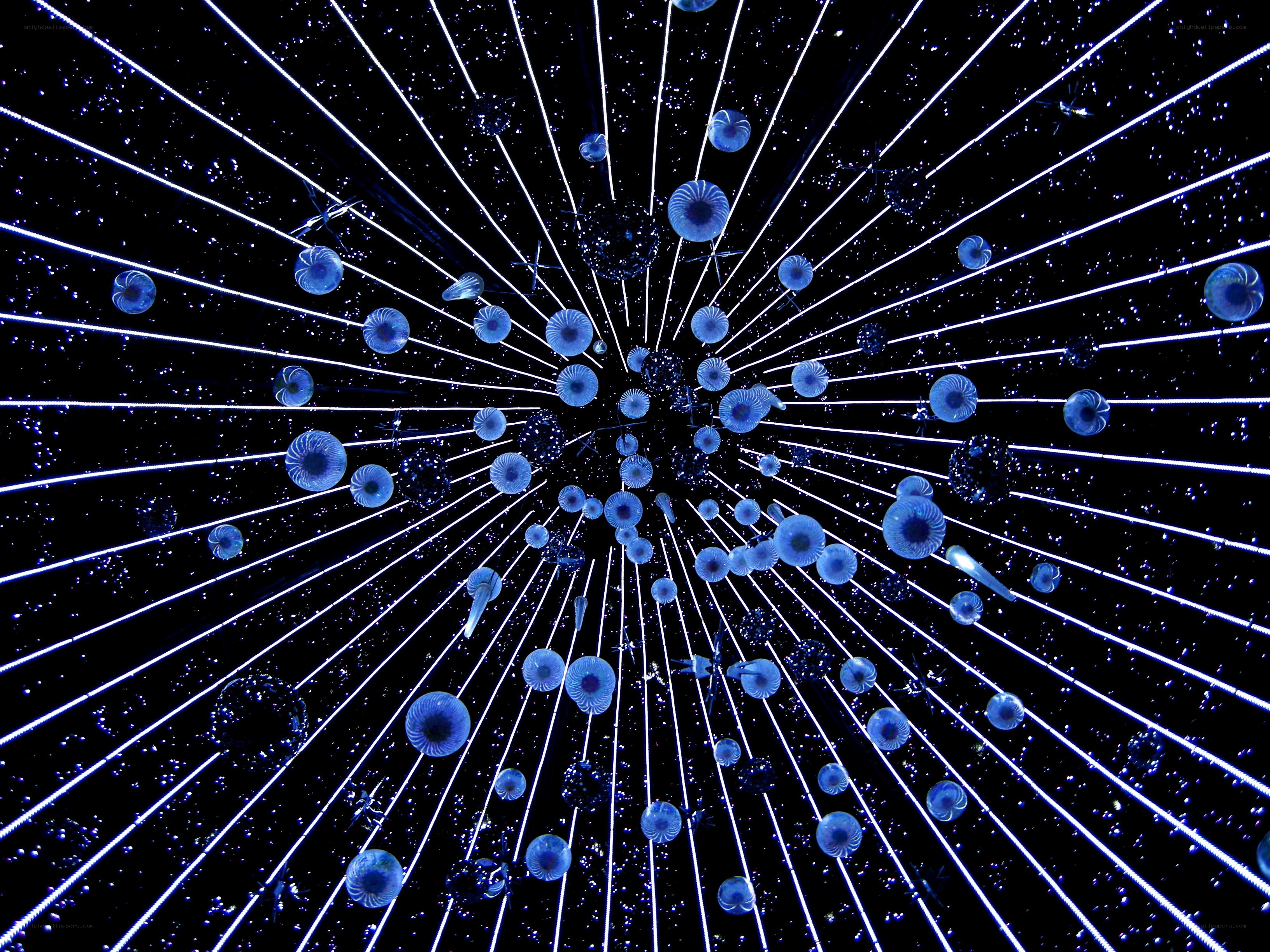blue light installation with jellyfish