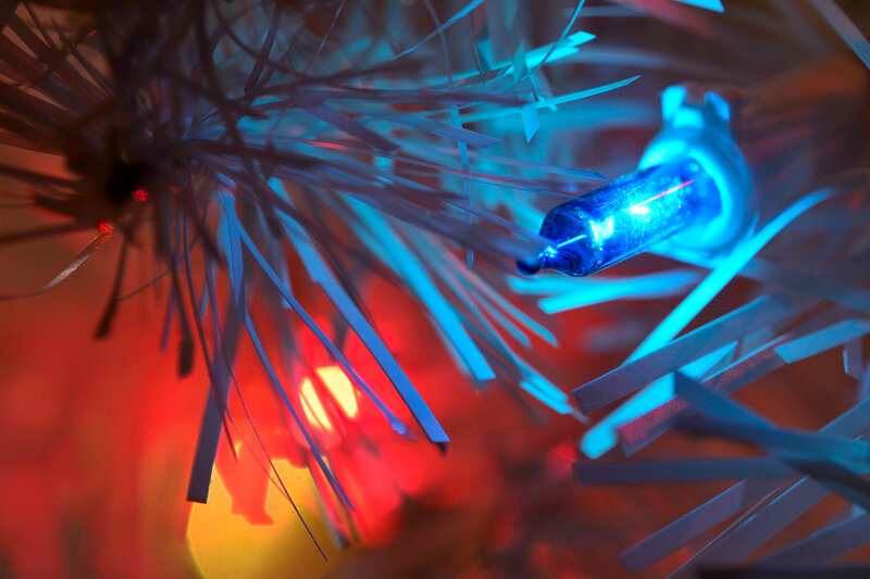 Blue Light on Tree Branch