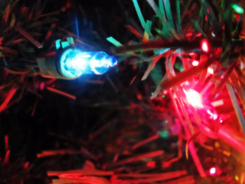 Blue Light on Tree