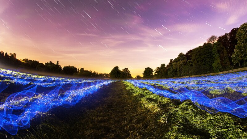 Blue Light Trails in Field