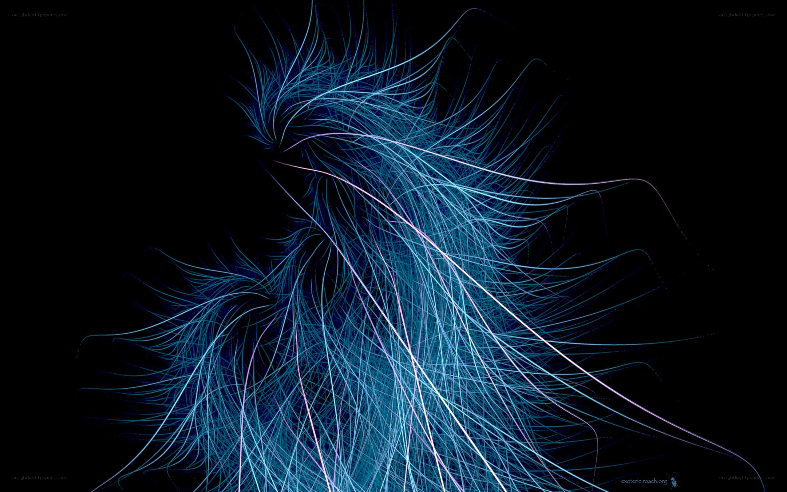 blue light trails on black