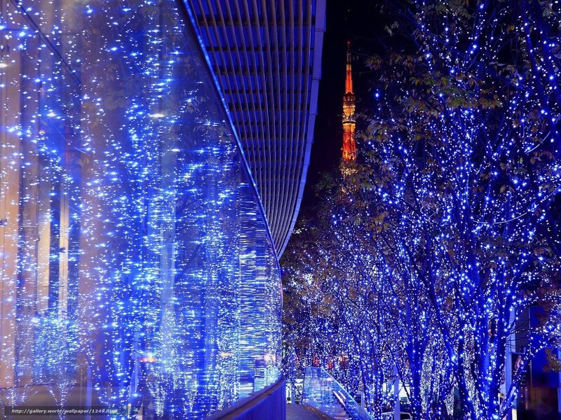 Blue lights illuminate Tokyo trees
