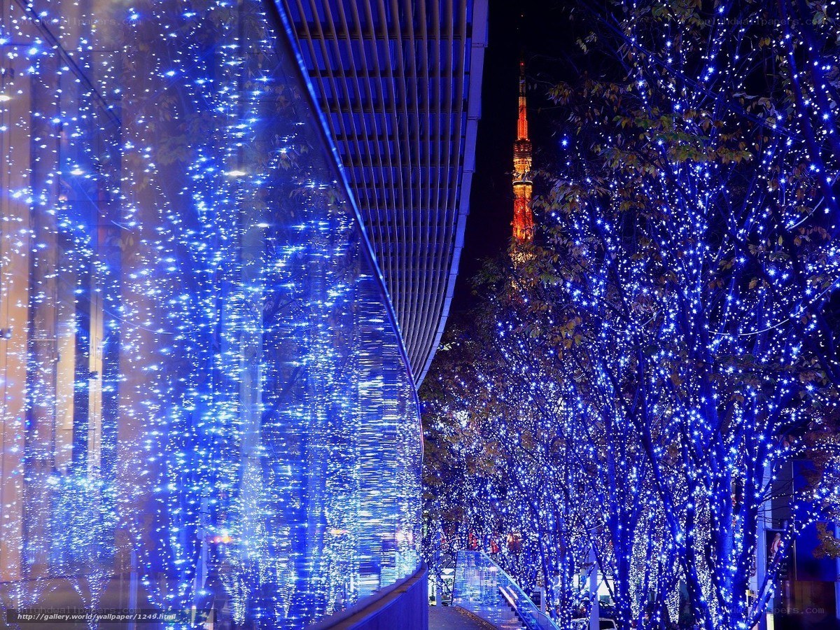 Blue lights illuminate Tokyo trees