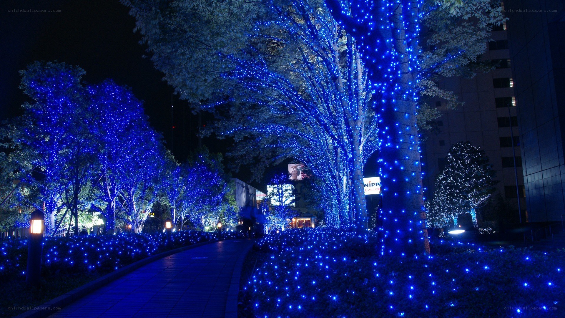 Blue lights illuminate trees at night