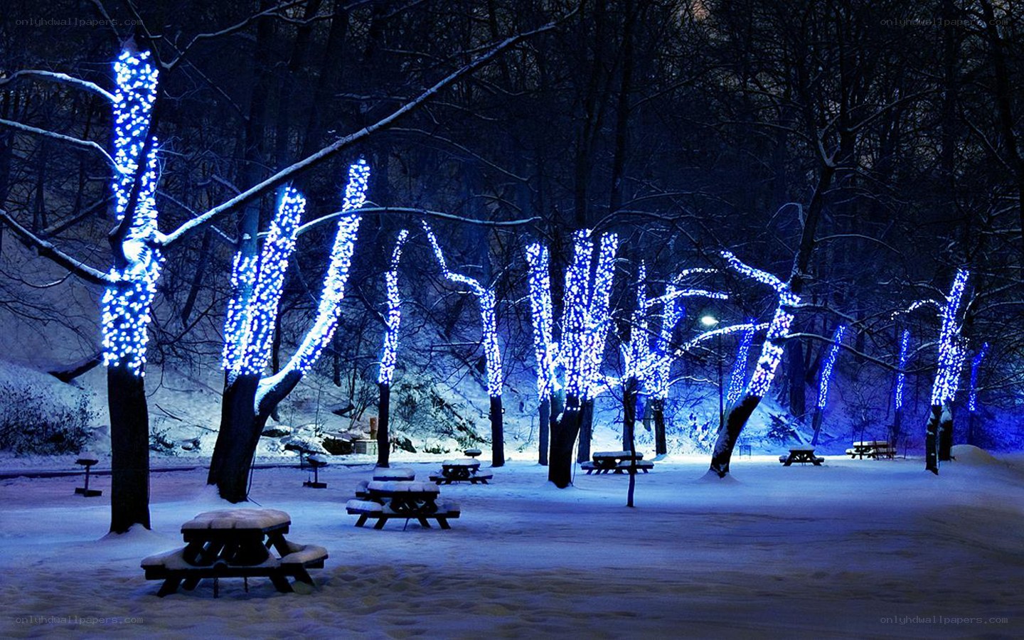 Blue lights in snowy park