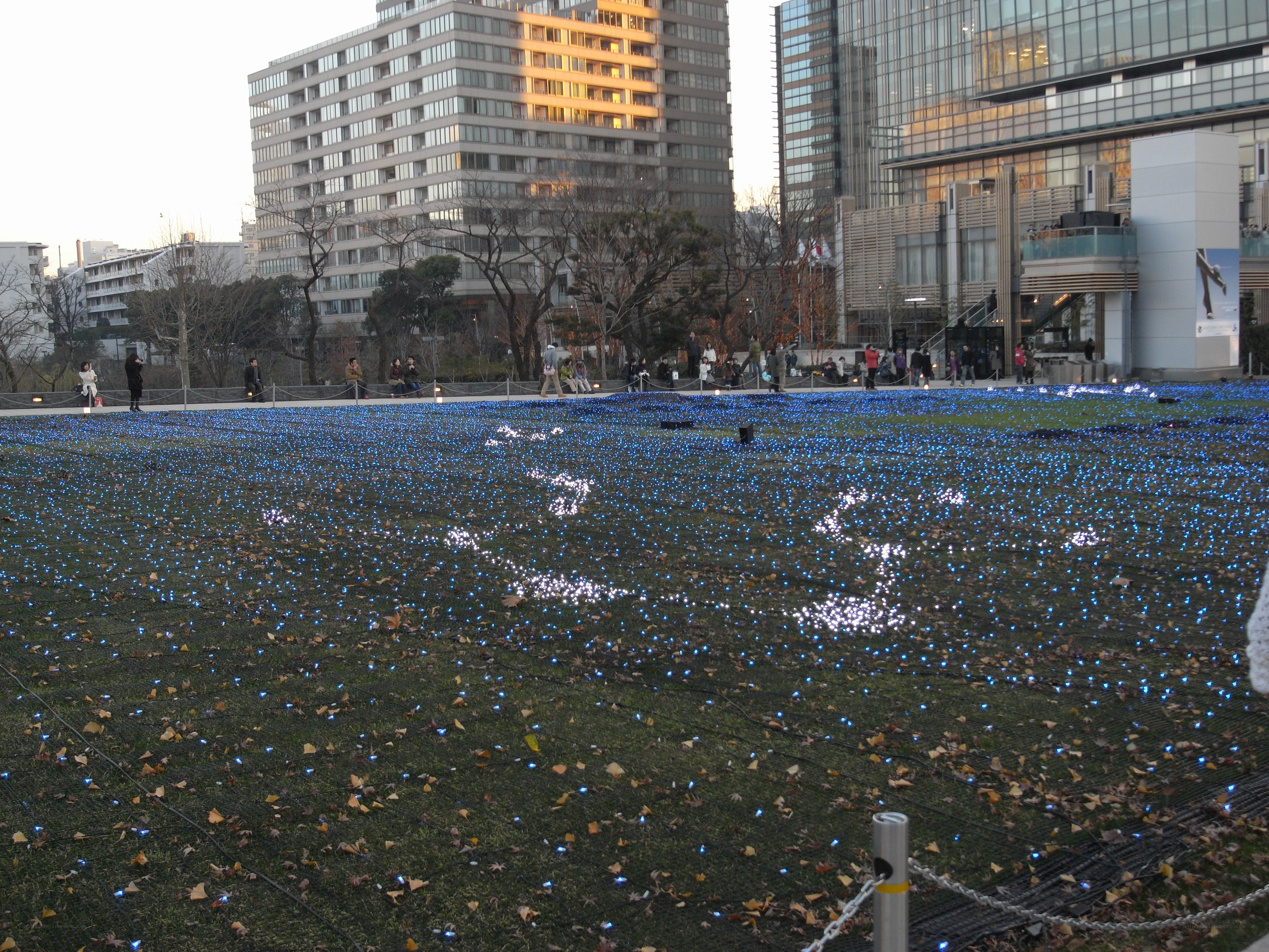 Blue lights on a grassy field