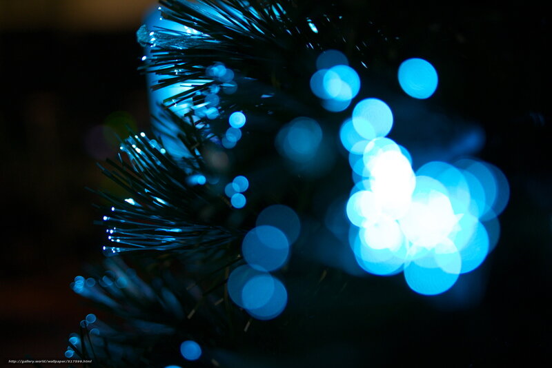 blue lights on a tree