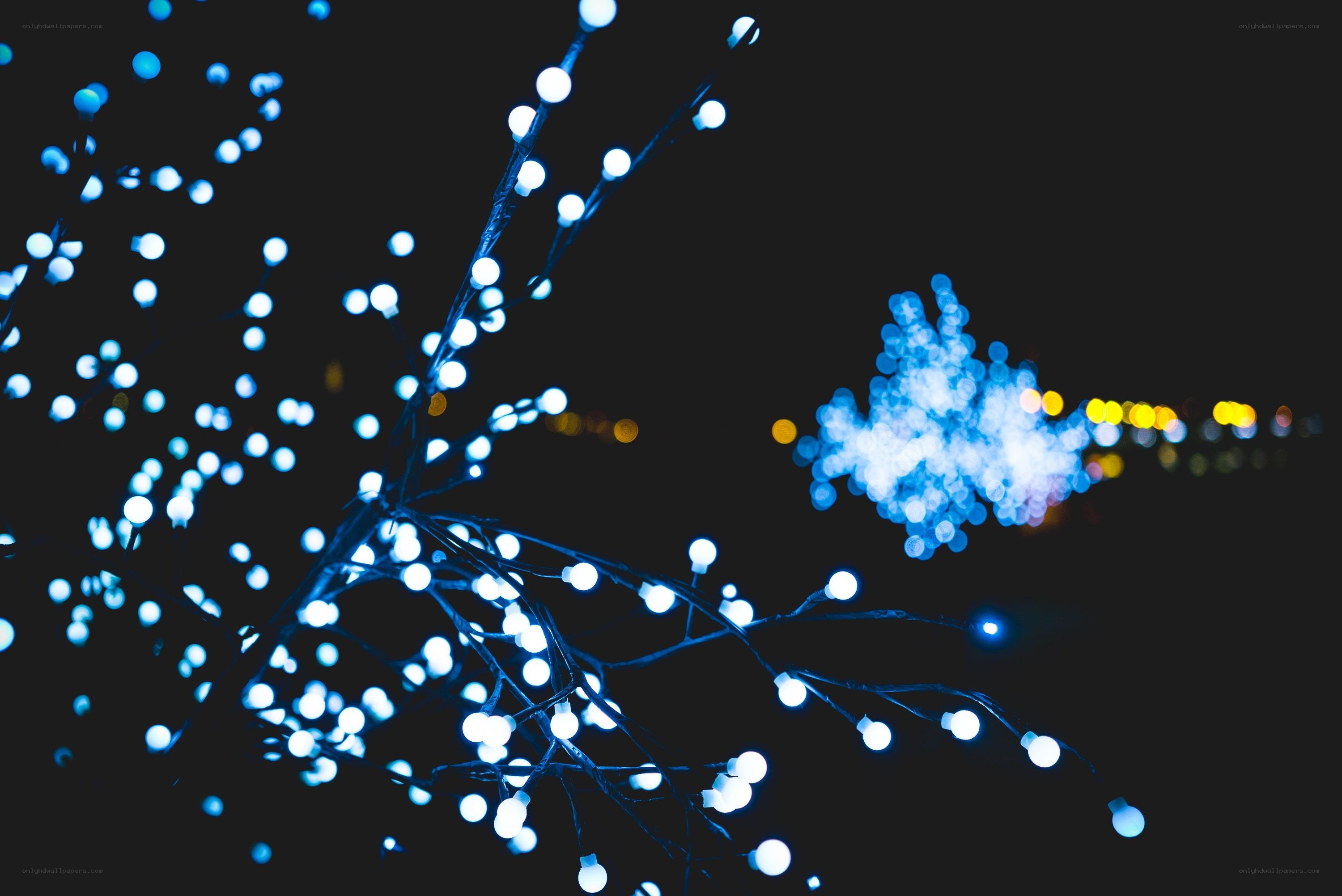 Blue lights on branches at night