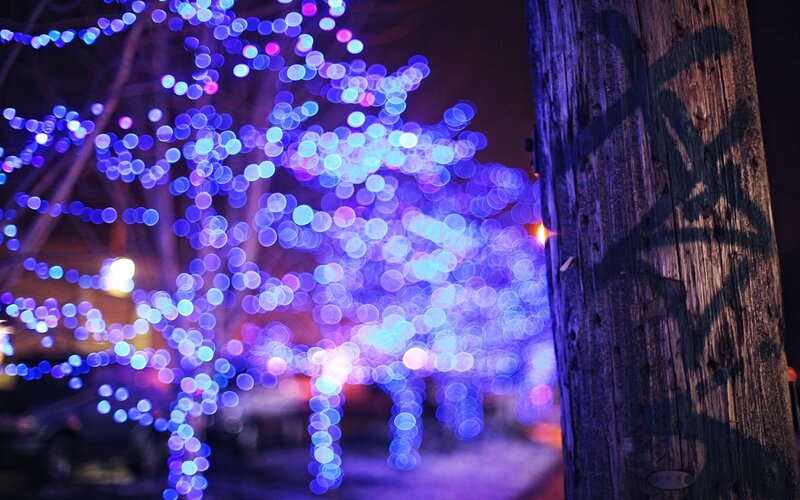 Blue Lights on Tree