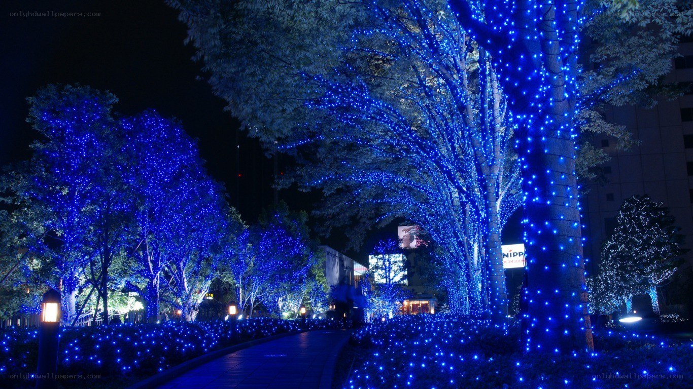 Blue lights on trees at night