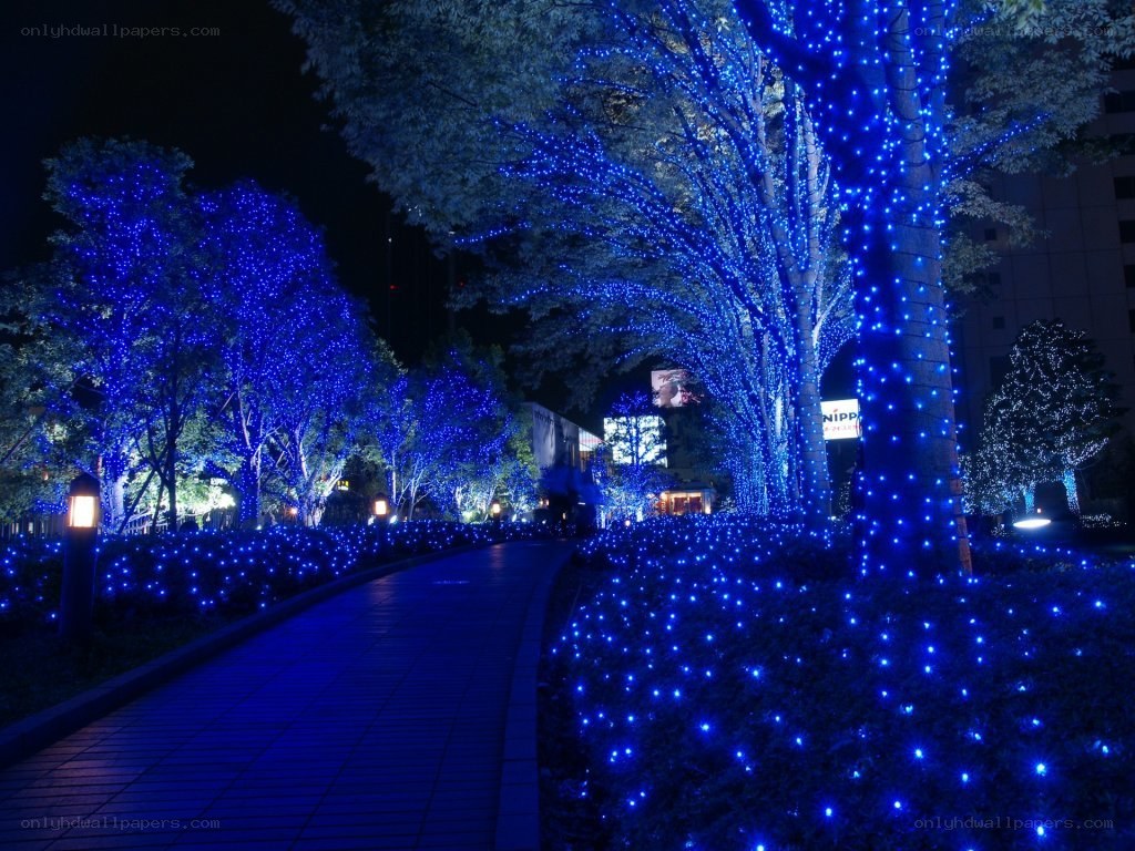 blue lights on trees at night