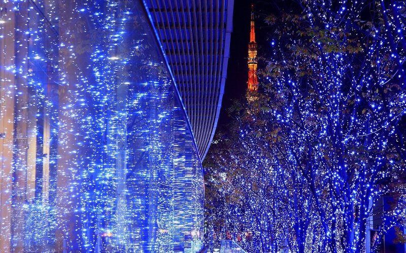 Blue lights on trees at night