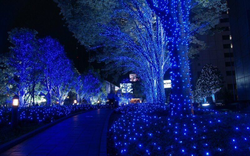 Blue lights on trees at night