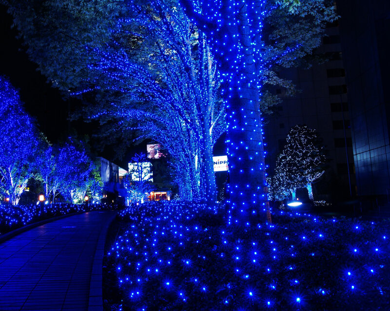 Blue lights on trees at night