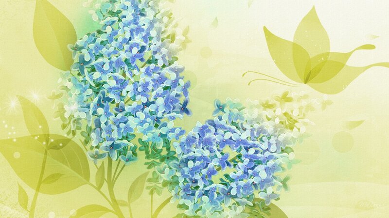 Blue Lilac Flowers