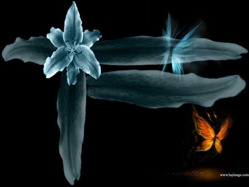 Blue Lily and Butterflies